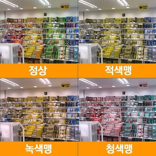 색맹이 보는 세상 | 인스티즈