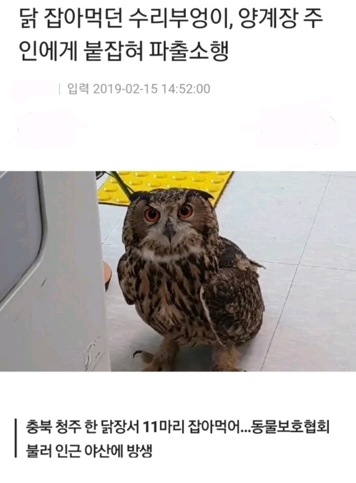 대한민국의 사법권 위에 계신분 | 인스티즈