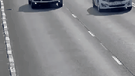 고속도로에 떨어진 새끼냥이.gif | 인스티즈