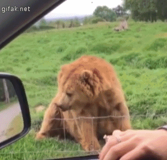 엄마 나이제 가볼게 | 인스티즈