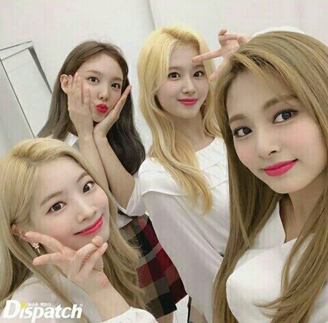 트와이스 4인조.gif | 인스티즈