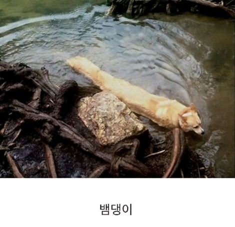 파노라마 사진 대참사 | 인스티즈