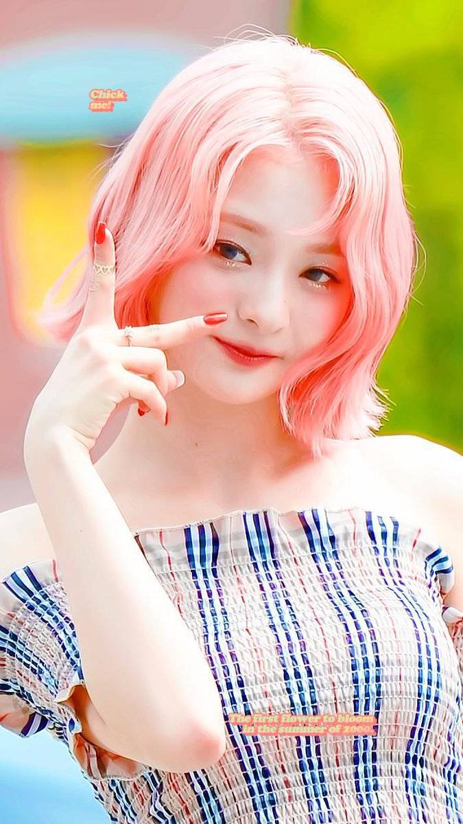 분홍색 머리 했던 아이돌들.jpgif | 인스티즈