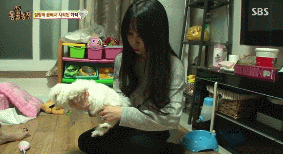 아니.. 음식물 쓰레기통에서 강아지 우는 소리가 나는거에요 | 인스티즈