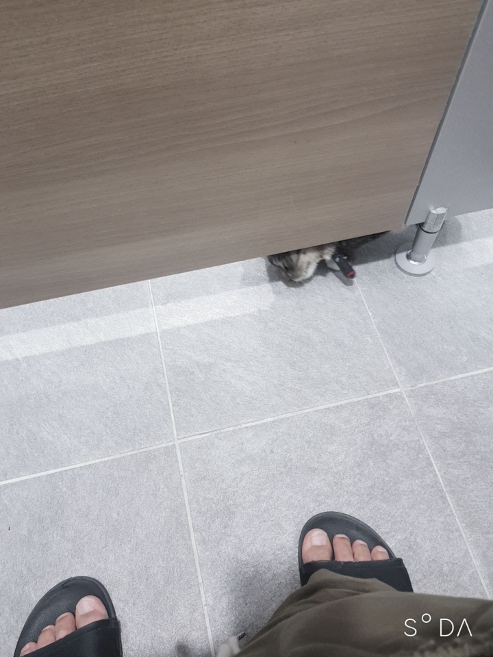 똥싸는데 누가 들어왔따!?jpg | 인스티즈