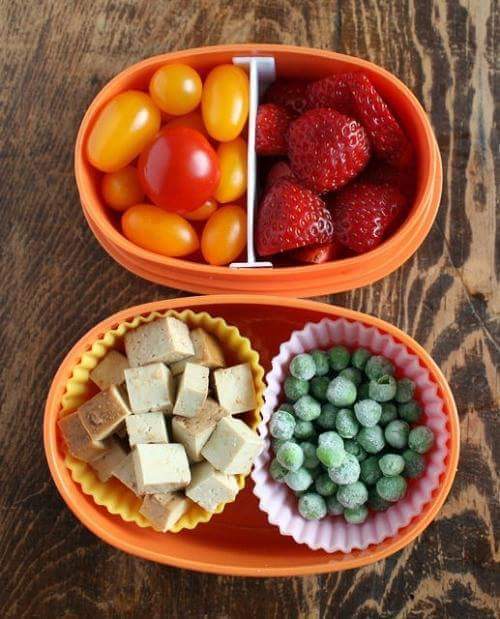 다이어터 도시락 | 인스티즈