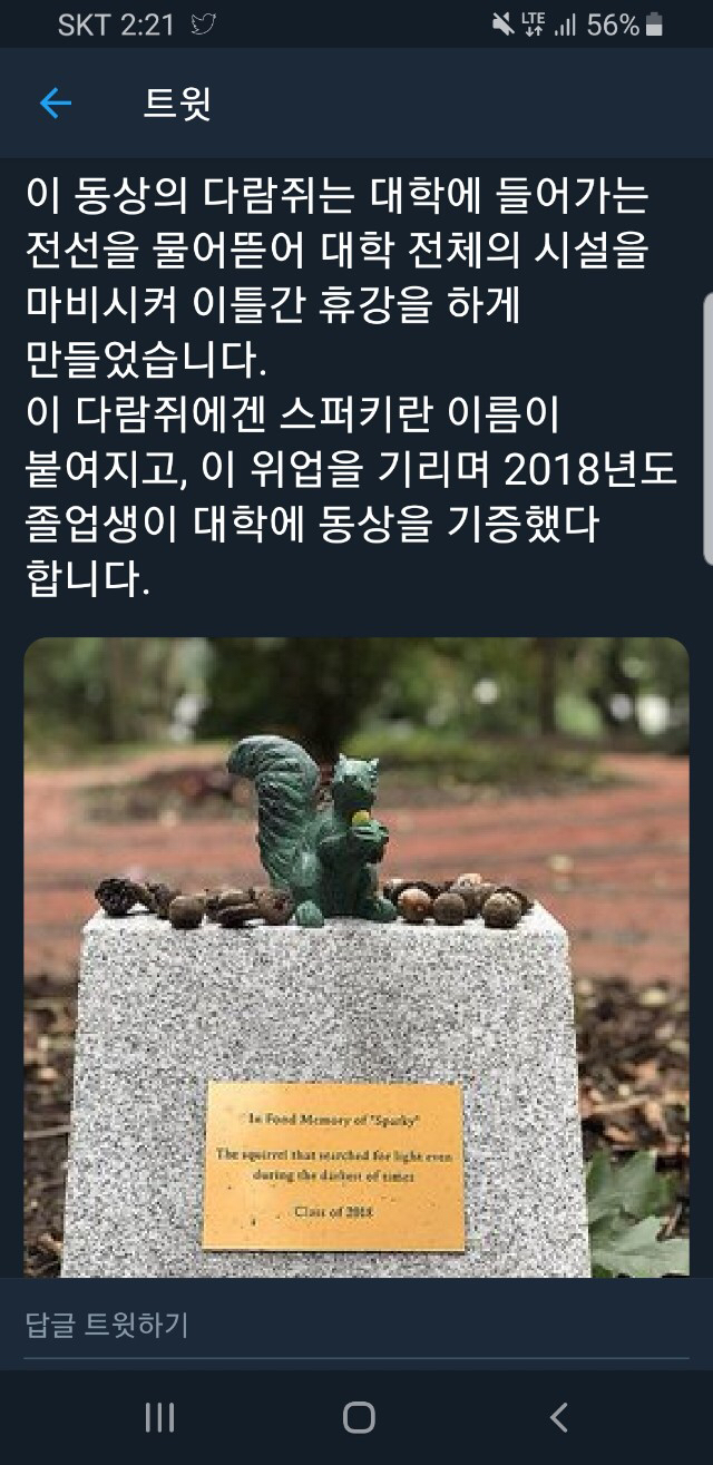 영웅이 된 다람쥐 레전드.jpg | 인스티즈