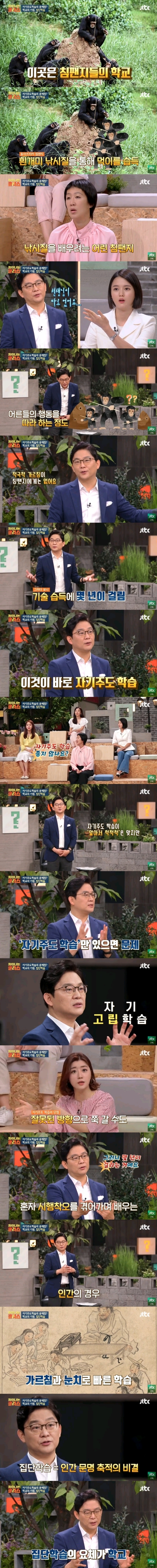 인간과 유인원의 차이.jpg | 인스티즈