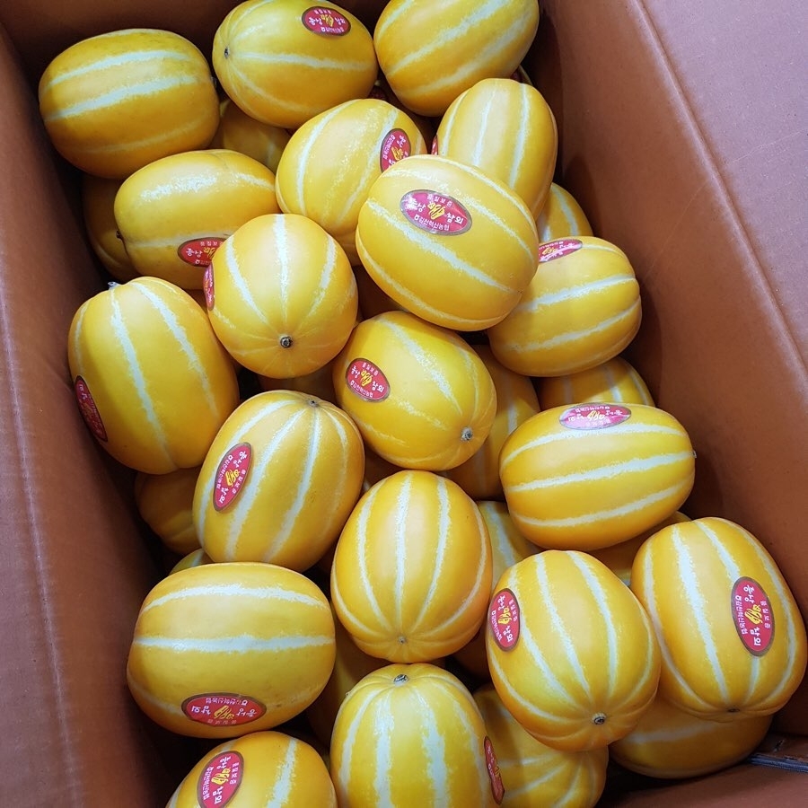 살면서 가장 많이 먹은 것 같은 과일은? | 인스티즈