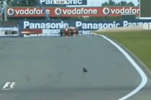 너 F1 이 뭔지는 아니야? | 인스티즈