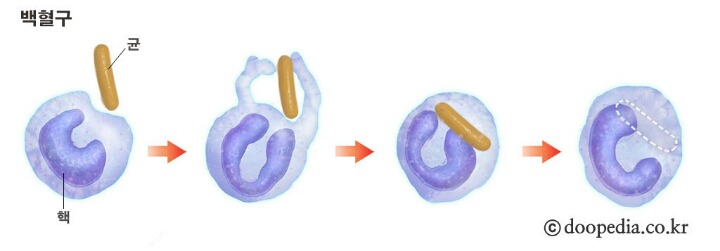 인류의 미래를 위해서 한가지 선택하라고 한다면? | 인스티즈