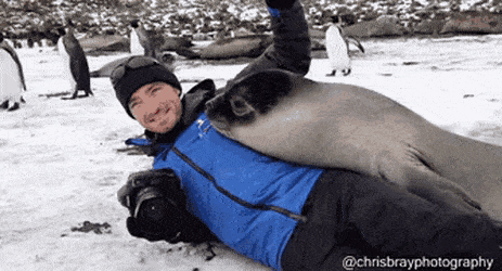 야생동물 사진작가의 고충 | 인스티즈