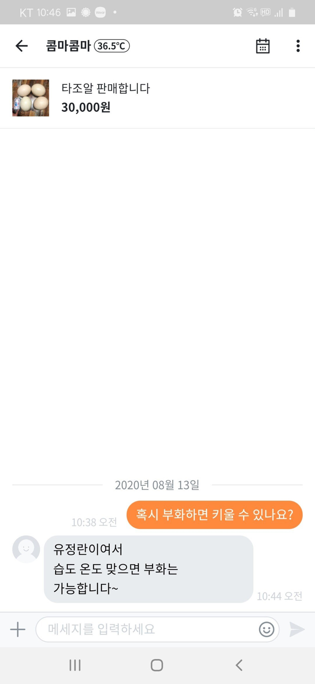 혼돈의 당근마켓.jpg | 인스티즈