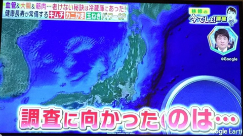 일본인들의 김치 사랑 | 인스티즈