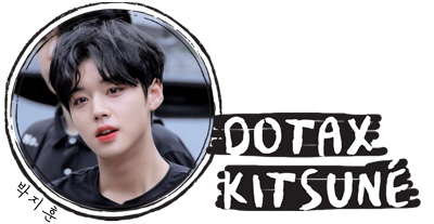 회의실에 난입한 냥이.gif | 인스티즈