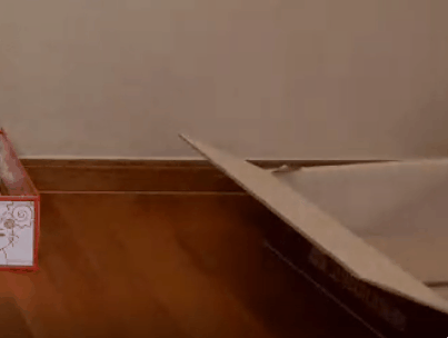 트위치 최고냥이 | 인스티즈