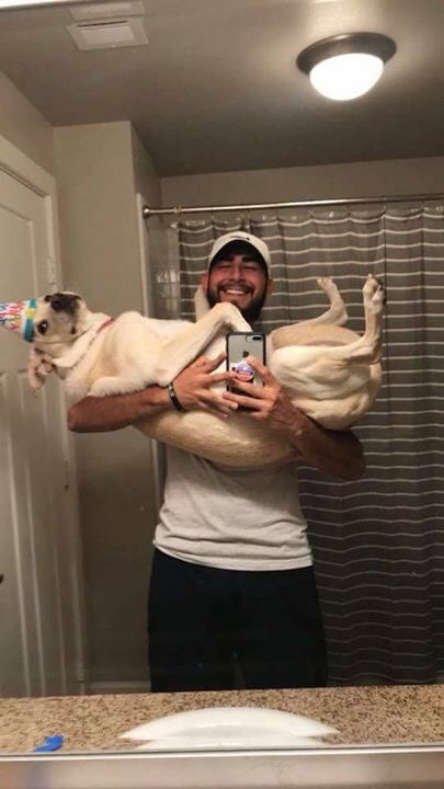 댕댕이의 1년 성장기.jpg | 인스티즈