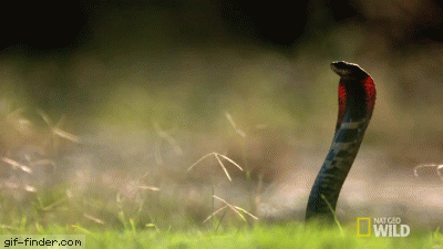 냉혹한 원딜의 세계 | 인스티즈