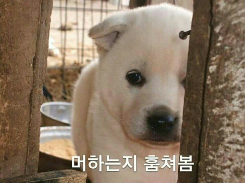 피시방 옆자리 특징.jpg | 인스티즈