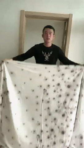 누가 봐도 친남매.jpgif | 인스티즈