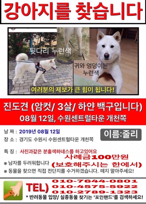 줄리 이미지