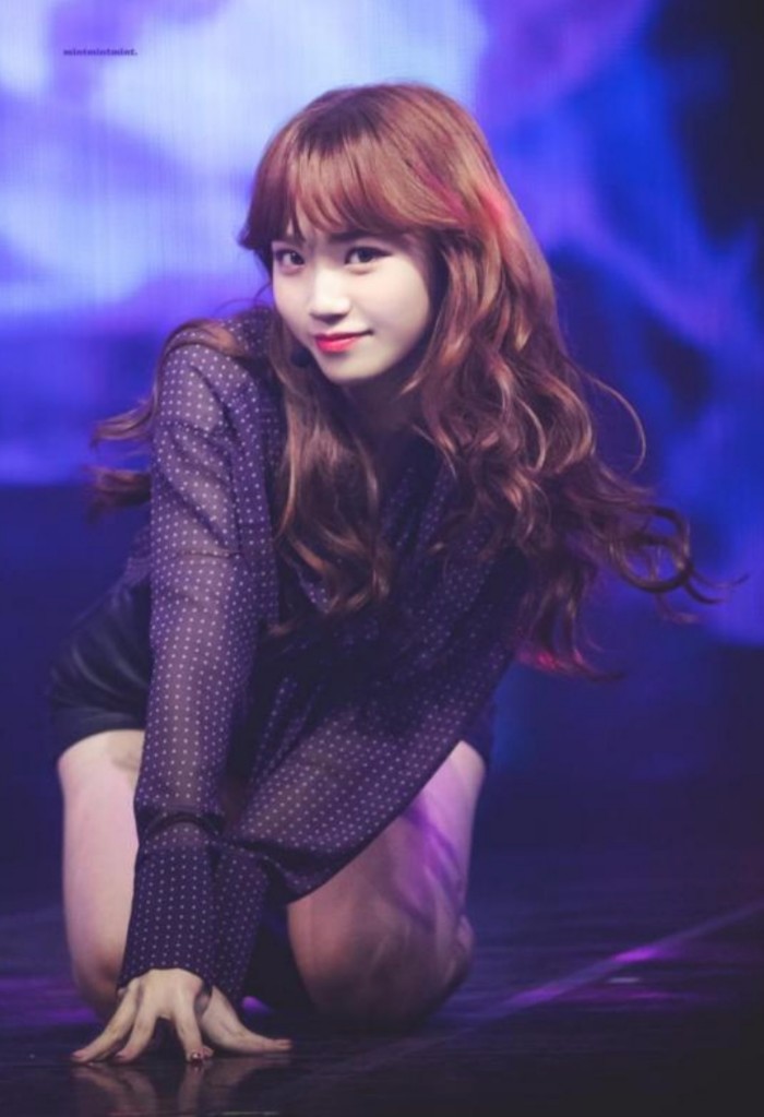 아이즈원 김채원 닮은 포켓몬 | 인스티즈