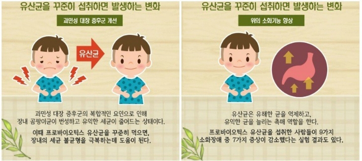 유산균을 먹어야 하는 이유 | 인스티즈