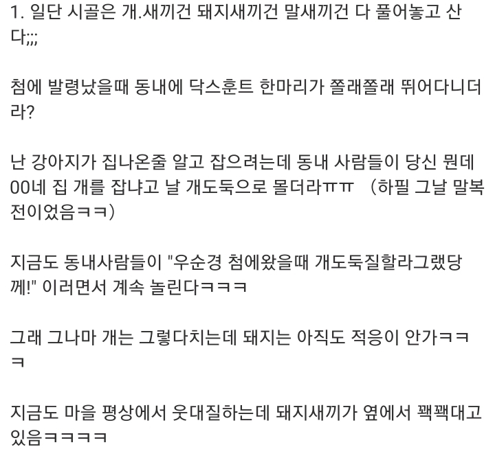 시골에서경찰하다보면 겪는 진상 썰.txt | 인스티즈