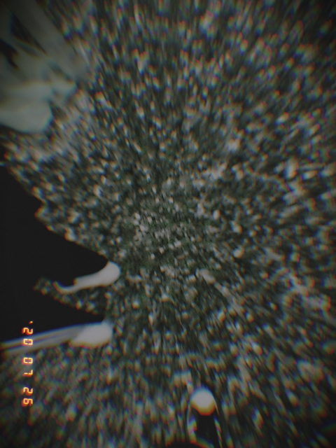 자라나라 모발모발 | 인스티즈