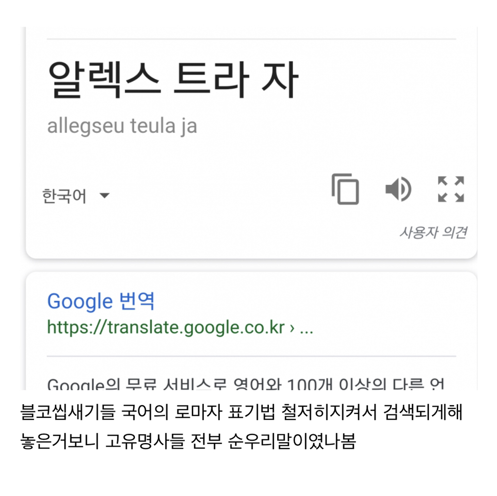 ???: 블리자드가 다른거는 몰라도 한글화는 잘하지 | 인스티즈