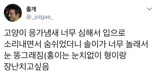 고양이 응가 냄새가 너무 심해서 입으로 숨을 쉬었더니... | 인스티즈