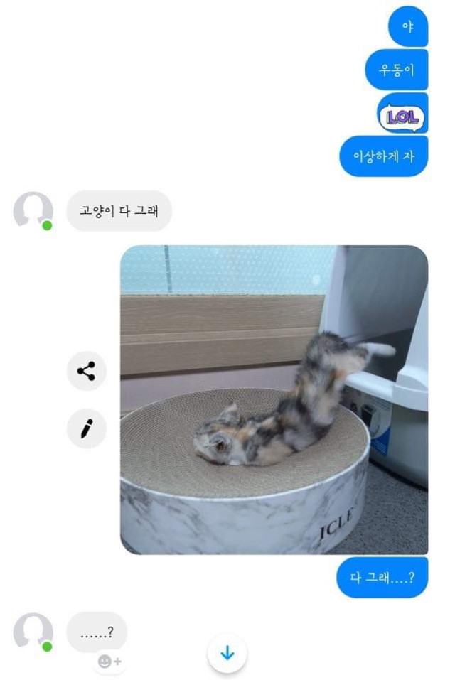 ???: 고양이는 원래 그래 | 인스티즈