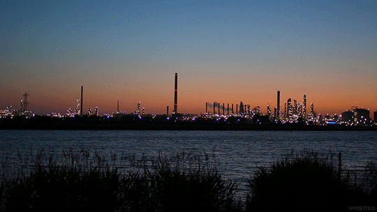 시네마그래프 짤 | 인스티즈