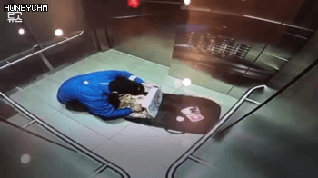 피자 토핑 빼먹다 엘리베이터 cctv에 딱 걸린 배달부.GIF | 인스티즈