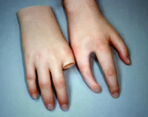 새벽에 올려보는 불쾌한골짜기 사진 모음 (혐오주의) | 인스티즈