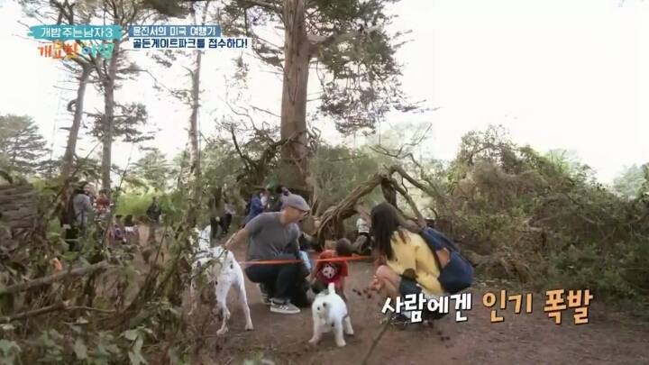 미국에서 인기쩌는 진돗개....jpg | 인스티즈