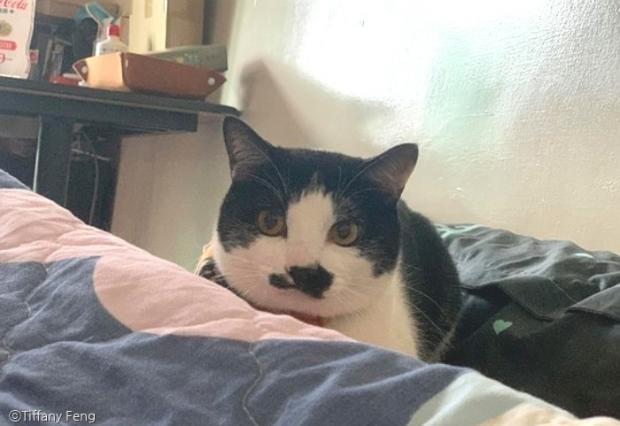 할머니의 확대력 | 인스티즈