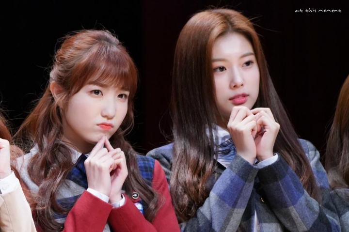 아이즈원 광배 빵토미 배빵 조합 사진 | 인스티즈