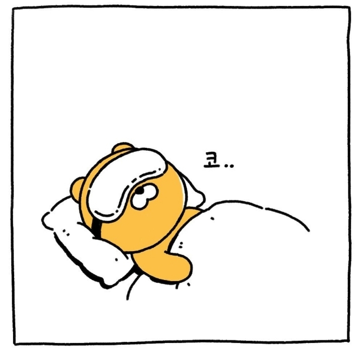 라이언 & 춘식 | 인스티즈