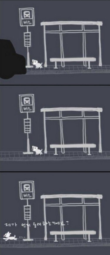 주인에게 버림받은 강아지 | 인스티즈