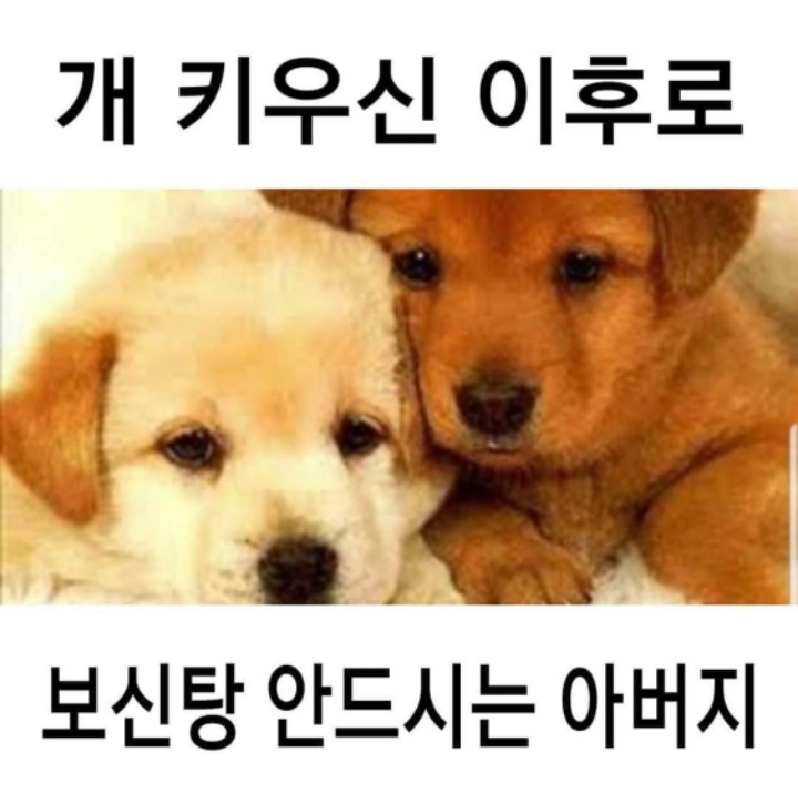 개 키우신 이후로 보신탕 안드시는 아버지 | 인스티즈