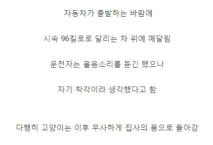 시속 96km의 속도로 질주하는 고양이.JPG | 인스티즈