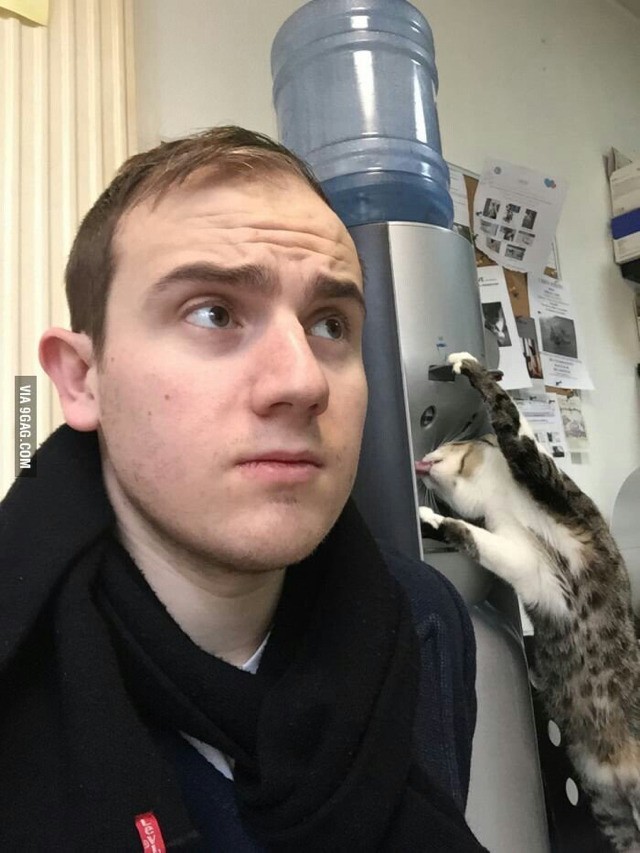 ??? : 고양이가 자꾸 물을 빼먹어서 정수기 환불하려구요 | 인스티즈