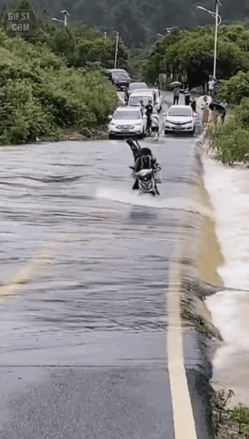 패기있게 지나가는 오토바이와 그저 바라보는 차.gif | 인스티즈