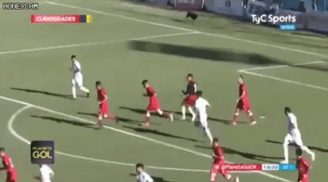 개 쩌는 선방 ㄷㄷㄷ | 인스티즈