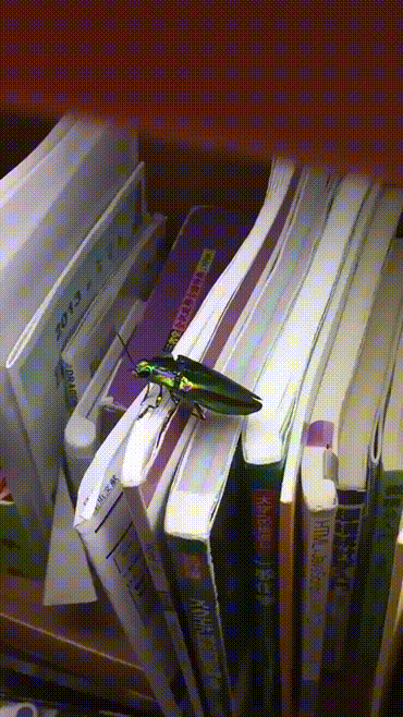 신기한 지구의 생명체들 | 인스티즈