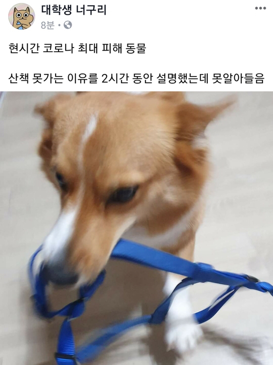 현시간 코로나 최대 피해자 ㄷㄷㄷㄷ | 인스티즈