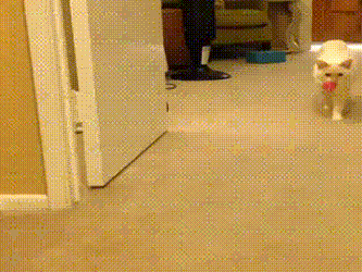 고장난 고양이들 | 인스티즈