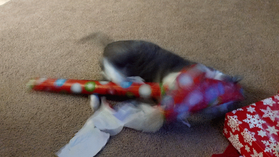 크리스마스 아침엔 역시 | 인스티즈