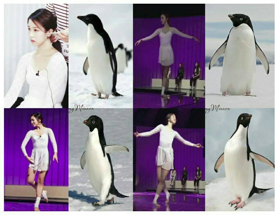 펭귄하면 먼저 떠오르는 여자아이돌은? | 인스티즈